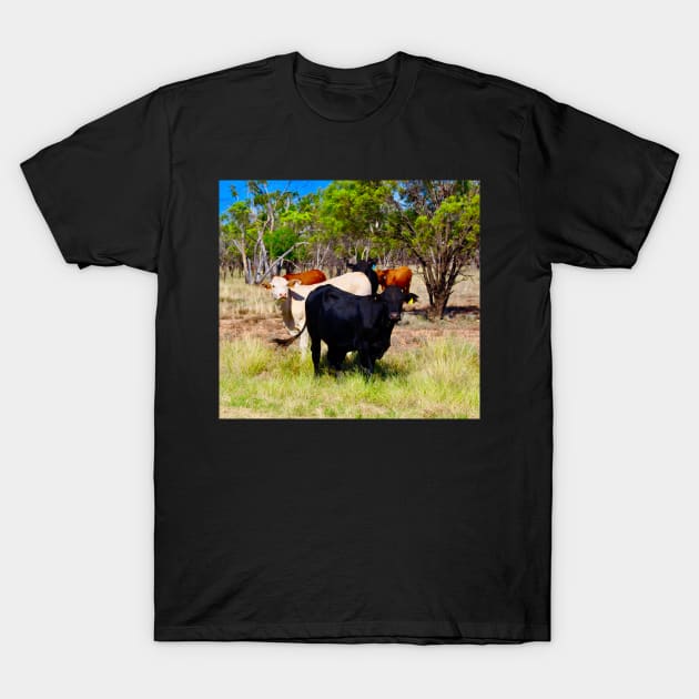 Cattle in the Outback! T-Shirt by Mickangelhere1